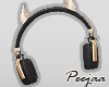 PJDevil Headphones6
