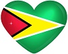 *MIA* Guyana Stand Spot