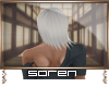 S-l Soren l [p3]
