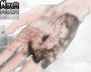 ♱ misa misa