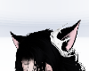 kitty crown