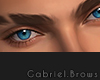 Gabriel Brows