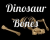 DInosaur Bones