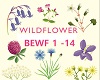 BillieEilish WildFlower