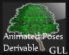 GLL Tree W Poses Derive