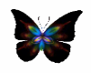 Butterfly(animated),,,.,