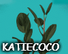 Nordic plant2