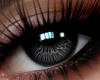 !B Lucent Eyes BLK