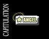 Angel VIP