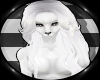 An-FHair V4-KITT