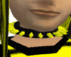 Black Yellow Collar