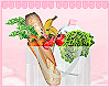 â¡ dorm groceries