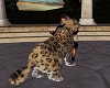 WLK Leopardo Gatusa+Pose