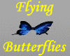 Flying ! Butterflies