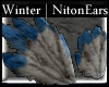 Winter | NitonEars