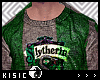 ᖽᐸ Slytherin Sweater