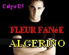 FLEUR FANEE Algerino