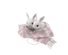 cute bunnys