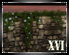 XVI | FA Wall Vines