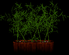VM|Bamboo Plant V2