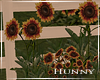 H. Fall Sunflowers