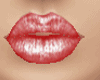  Lipstick  5 Colors
