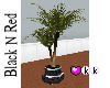 (KK) Potted Plant 1