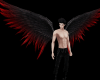 ƊՏ💎 Blood's Wings