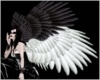 IO-Black & White Wings