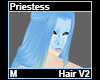 Priestess Hair M V2