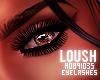  . Loush Lashes 09