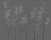 row of winter snow trees