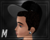 2 Toned Male Earrings