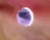 Purple Amethyst LipPearl