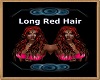 Red Longhair