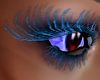 Bleu eyelashes
