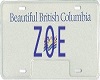 {V} Zoe Licence Plate