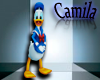 : Donald Duck Costume