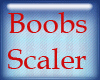 *R BooBs Scaler 60%