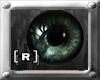 RG Essence eye grayblue