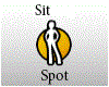 SIT SPOT