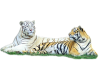 white tiger and yellow