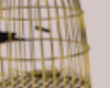 Golden Bird Cage w Poses