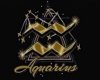 Aquarius T Shirt