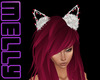 MC | Xmas Kitty Ears