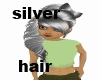 (Asli)SilverHair