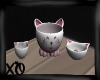 Cat Food Dishes