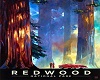 VP - Redwood Nat'l Park