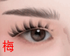 梅 Top lash