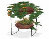 Plants w/ Stand 7